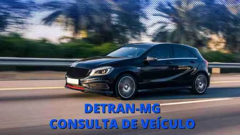 DETRAN.MG - Consulta de Veículo no DETRAN-MG 