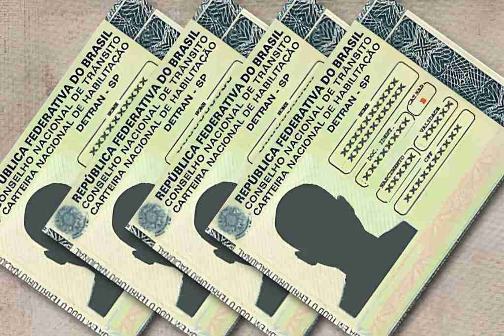 DETRAN.MG - Registro Nacional de Carteira de Habilitação (RENACH) 3