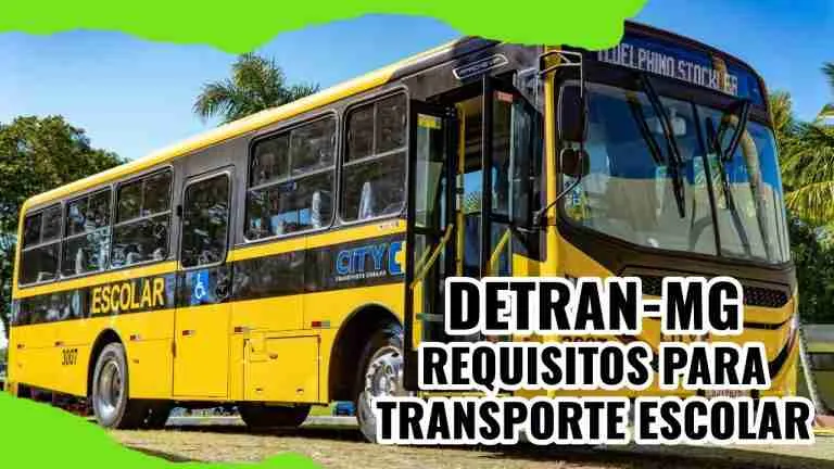 Transporte Escolar: Requisitos para Veículos e Motoristas