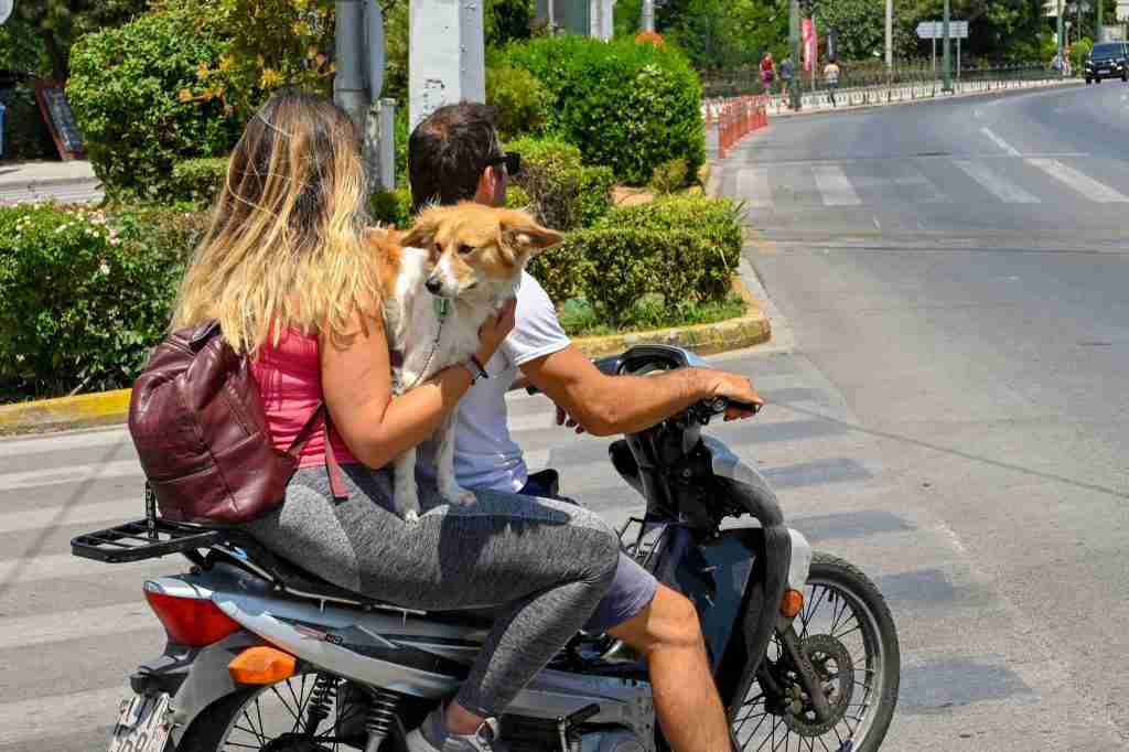 Detran.mg - Conduzir Motocicleta Sem Capacete: Infrações e Penalidades (4)